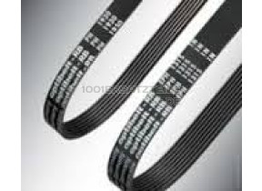 1956J3 POLY-V RIEMEN /RIPPENBAND 481935818019