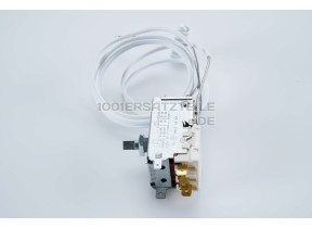 2s thermostat 50206930005