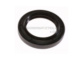 42X62X10/13 RASTE L57A003A0