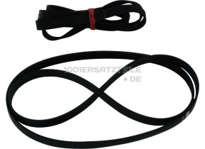 Antriebsriemen elastisch 55X3861