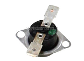 C00095566 THERMOSTAT KIT