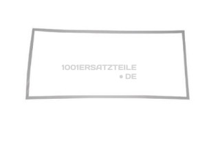 C00114665 DICHTUNG GEFR.-TUER(552X1116) POLARWHITE