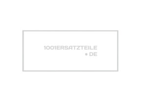 C00115569 DICHTUNG GEFR. T?R (554X1147) POLARWHITE