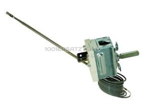 C00310964 THERMOSTAT 480121100077