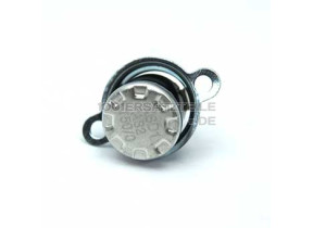 C00313548 THERMOSTAT 480121101598