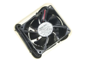 C00313903 MOTOREN 481202858347
