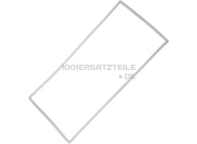 C00313938 TuRDICHTUNG 481010408471