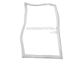 C00320298 MAGNETDICHTUNG 481946818158