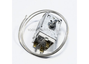 C00327560 THERMOSTAT 481228238256