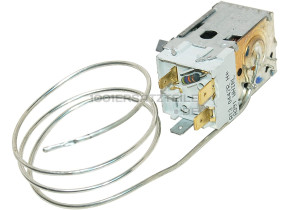 C00500719 THERMOSTAT 481228238188