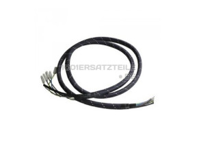 DAMPFB?GELEISENKABEL (EX C30114) 500582895