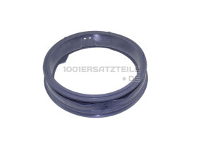 Dichtring MDS41955001