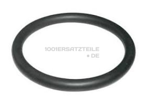 Dichtung (d=31,3) C00084600