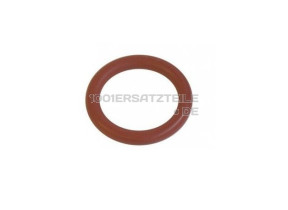 DICHTUNG F. WASSERTANK CS-00098632