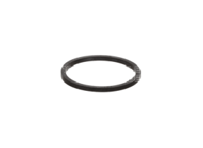Dichtung gross 00020646