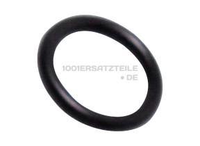 Dichtung luftkammer 481253058095