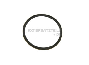 Dichtung MS-0698531
