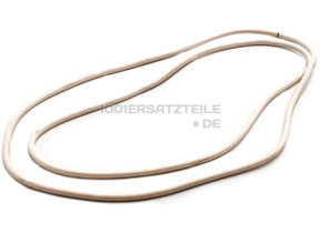 DICHTUNG RING  0020300510
