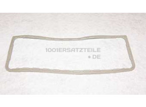 Dichtung rutsch kombidosierung 480140101607