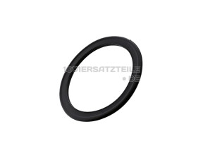 Dichtung spundzapfen filter ri 1260616014