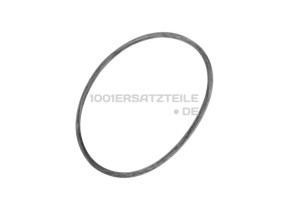 Dichtungsring lager 1294632011