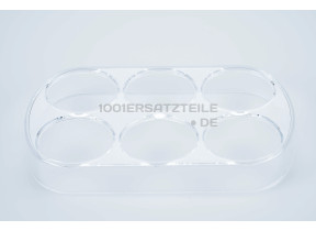 EIERHALTER 6 STUECK C00090981
