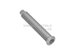 Einstellfuss 1173632009