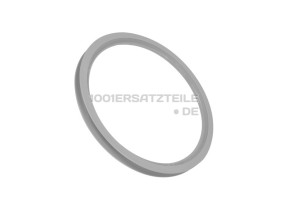 Flusenfilter/flusensieb 1257292001