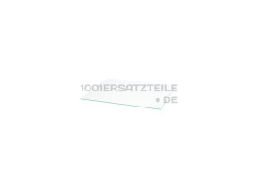 Glasplatte 00709677