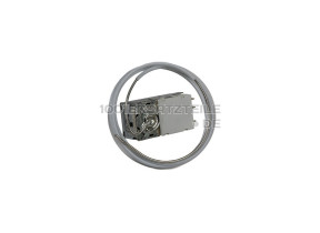 L2534 THERMOSTAT 50117492004