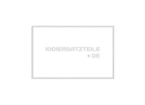 Magnetdichtung 480132101204