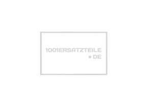 Magnetdichtung 481246668942