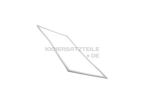 MAGNETISCHE DICHTUNG 50290505002