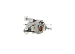 MOTOR 00145443