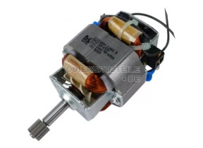 Motor SS-193071
