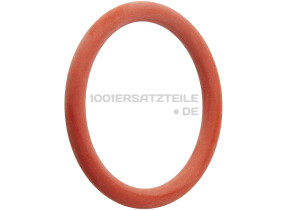 NM01.044 O-RING ORM 0320-40 IN PTFE/FDA, FuR BRuHEINHEIT 996530059406
