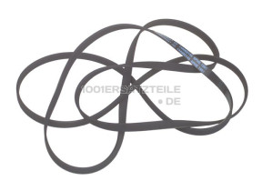 Poly-v-riemen 481281728437
