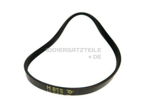 Riemen eureka 480111101441