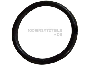 Runddichtung 20x2,58 481953058032