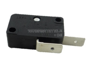 Schalter SS-990609