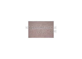 Scheibe f tuerscharnier 10x6 774400900