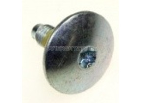Schraube 41021881