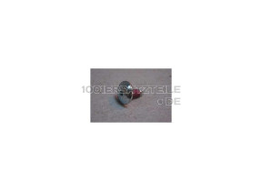 SCHRAUBE M8X22,5/DD 480111104699