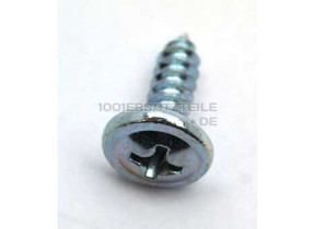 SCREW (3.9*12) 4049730100