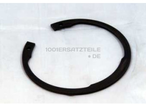 Sicherungsring antriebssystem 481201118523
