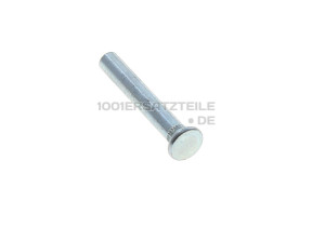 STIFT,SCHARNIER 481241778065