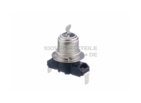 Temperaturregler 00029954