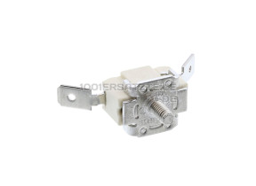 Thermische veiligheid element 4071404588