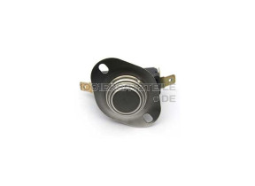 Thermostat 00068490
