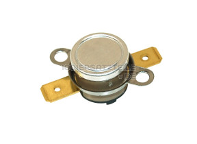 Thermostat 100°c 818731555